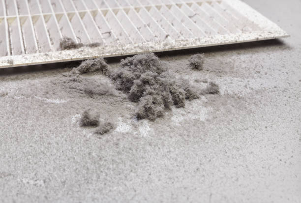 Best Ductwork Cleaning Services  in Naples, TX