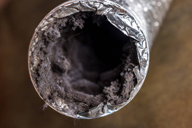 Best HVAC Air Duct Cleaning  in Naples, TX